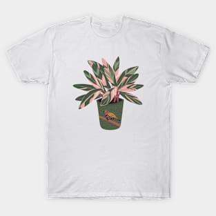 Stromanthe Houseplant T-Shirt